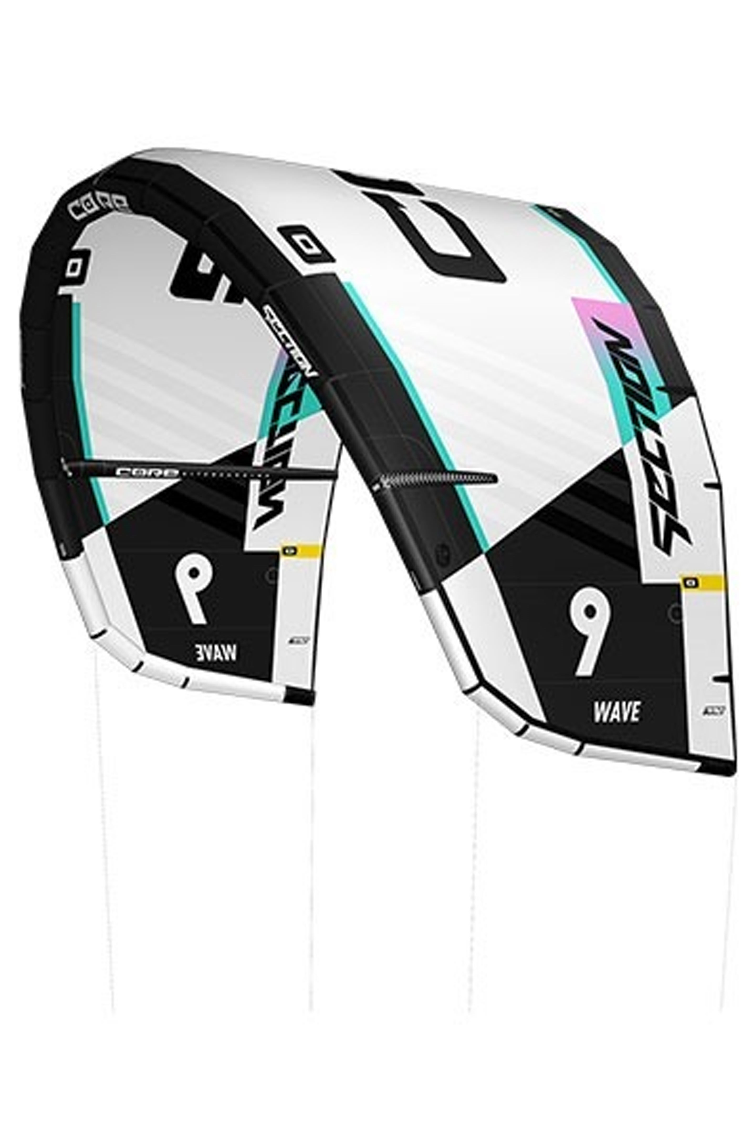 Core Kiteboarding-Section 4 Kite (2nd)